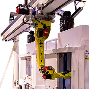 Fanuc store gantry robot