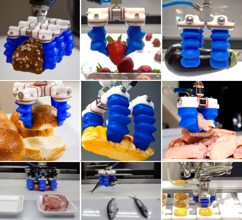 食品のハンドリング